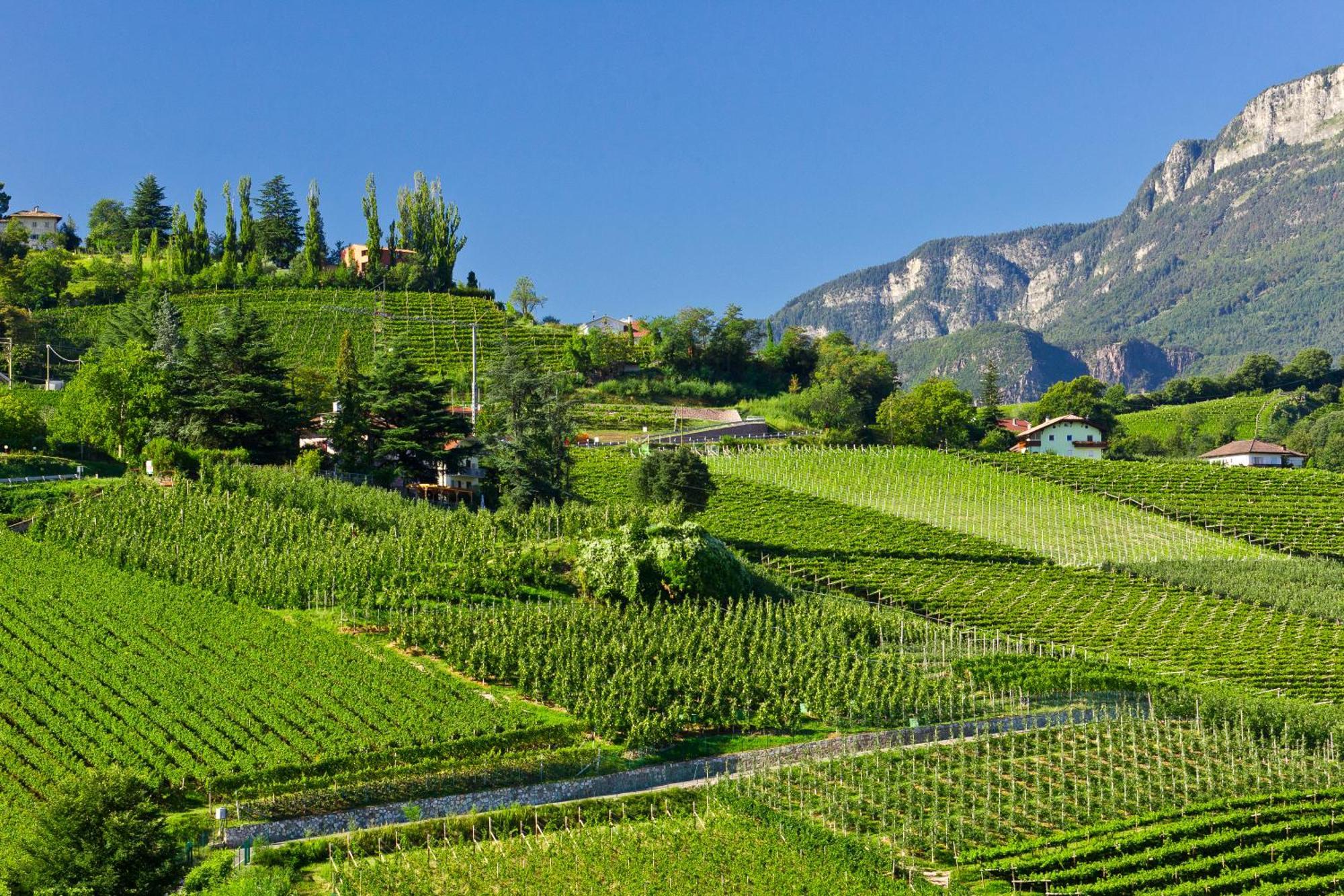 Belia Lofts - Adults Only - Apartments Appiano Sulla Strada Del Vino Exteriér fotografie