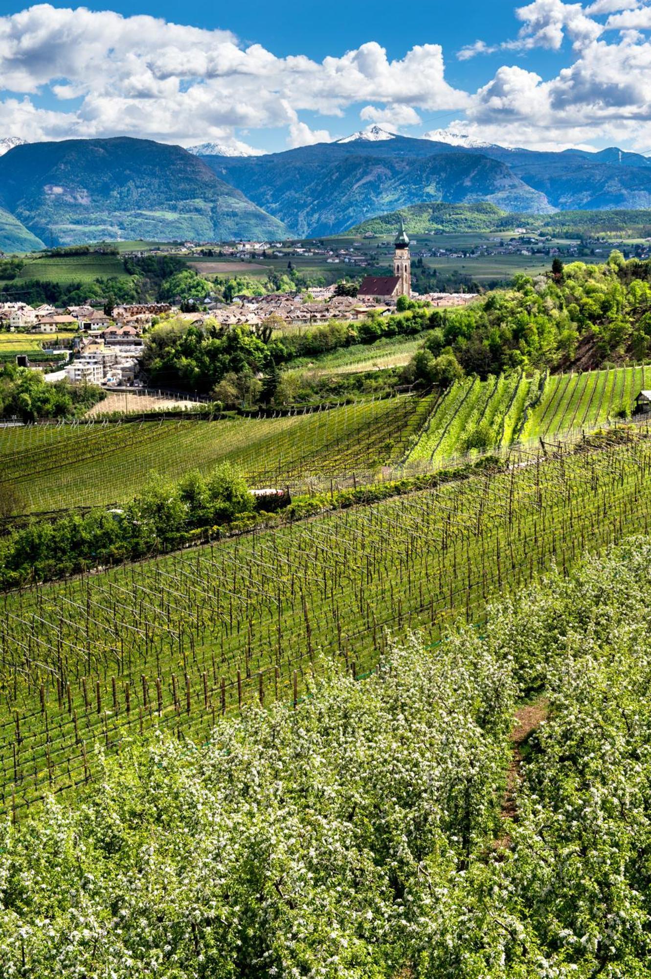 Belia Lofts - Adults Only - Apartments Appiano Sulla Strada Del Vino Exteriér fotografie